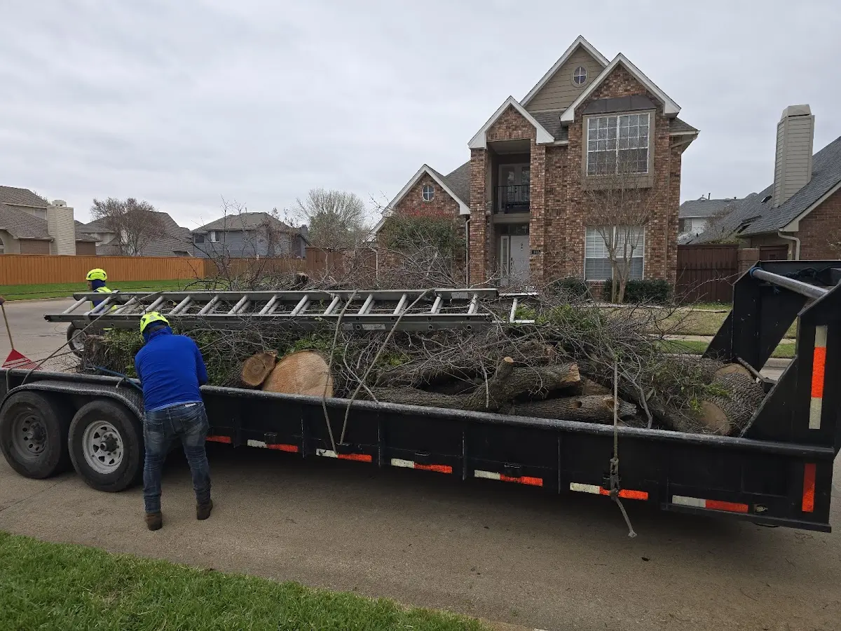 Expert Tree Removal with proper safety equipment in Random Lake